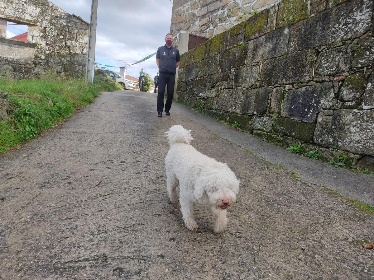 Un perro especializado ayudó a la localización de los restos de la víctima.