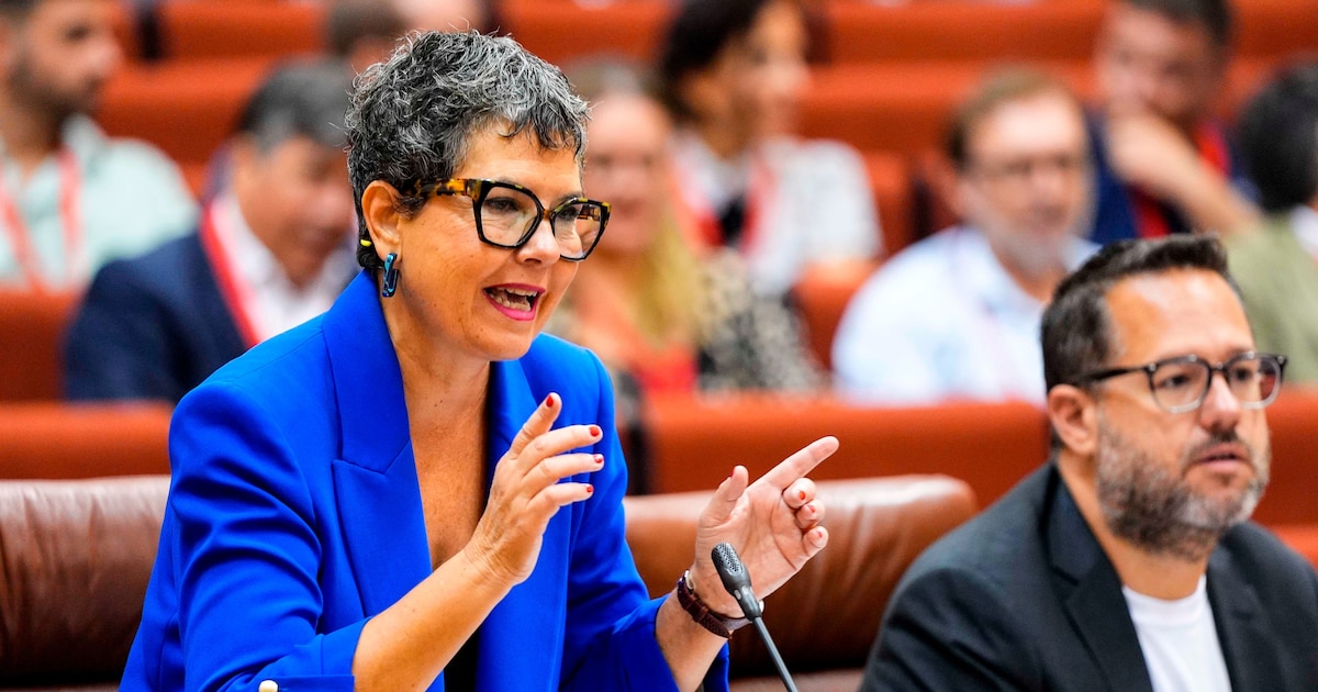 Andalusia lays the first stone so that children’s glasses are free throughout Spain: “The law generates a universal right to visual health”