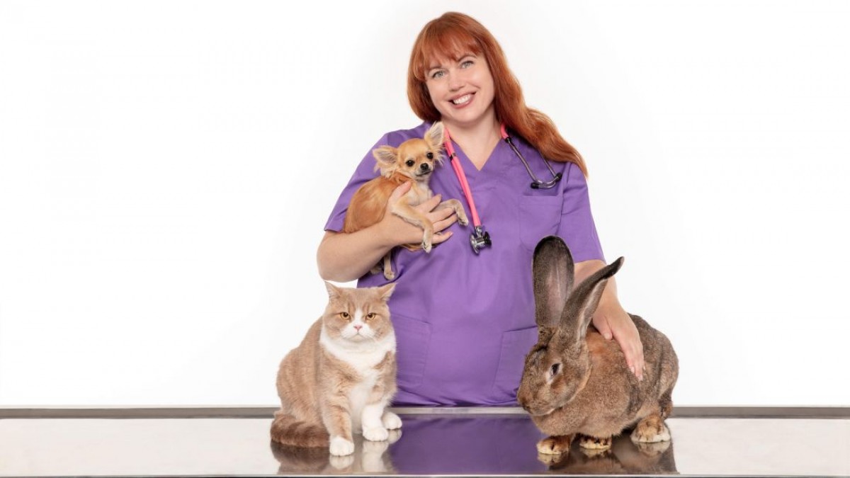 3 out of 4 veterinarians believe that health insurance promotes better medical care for pets