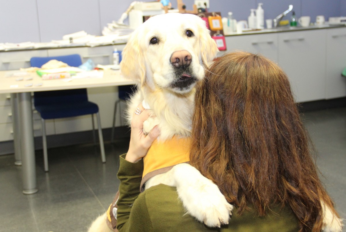 5 benefits that a pet brings to people’s mental health