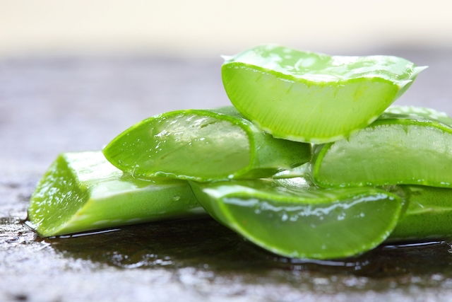 Aloe vera: 12 benefits, what it is for and properties (and how to use)