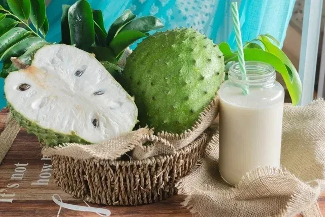 Soursop: properties, 10 benefits, and contraindications