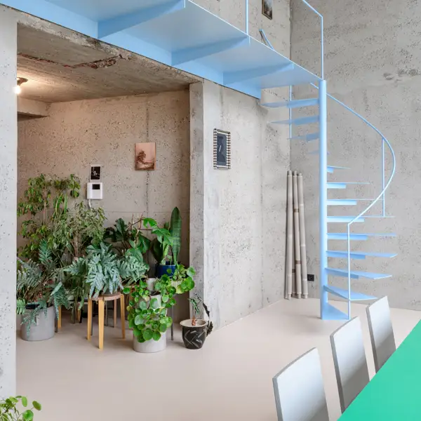 Plants, concrete spiral staircase